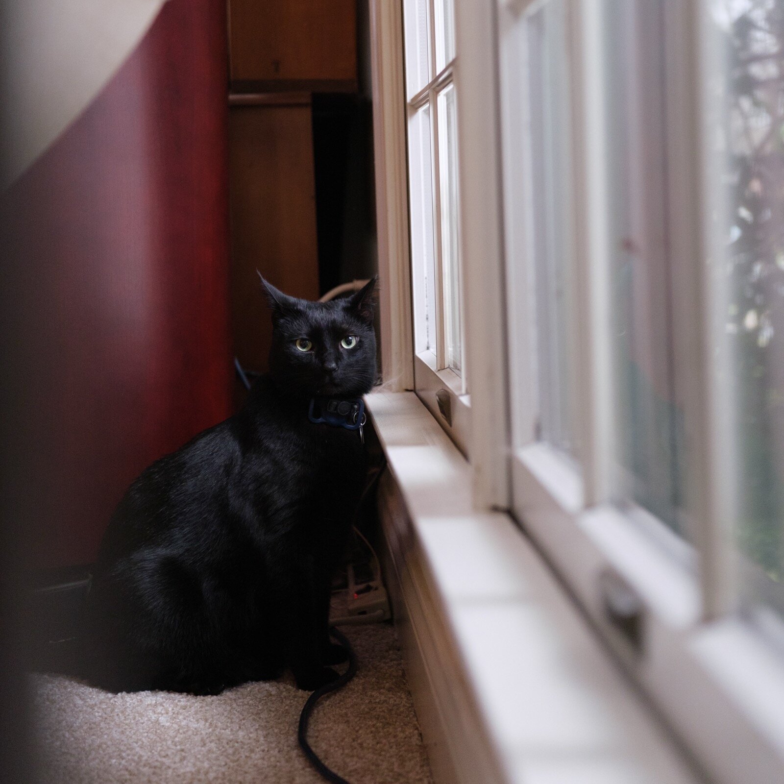 Photo, December 2025