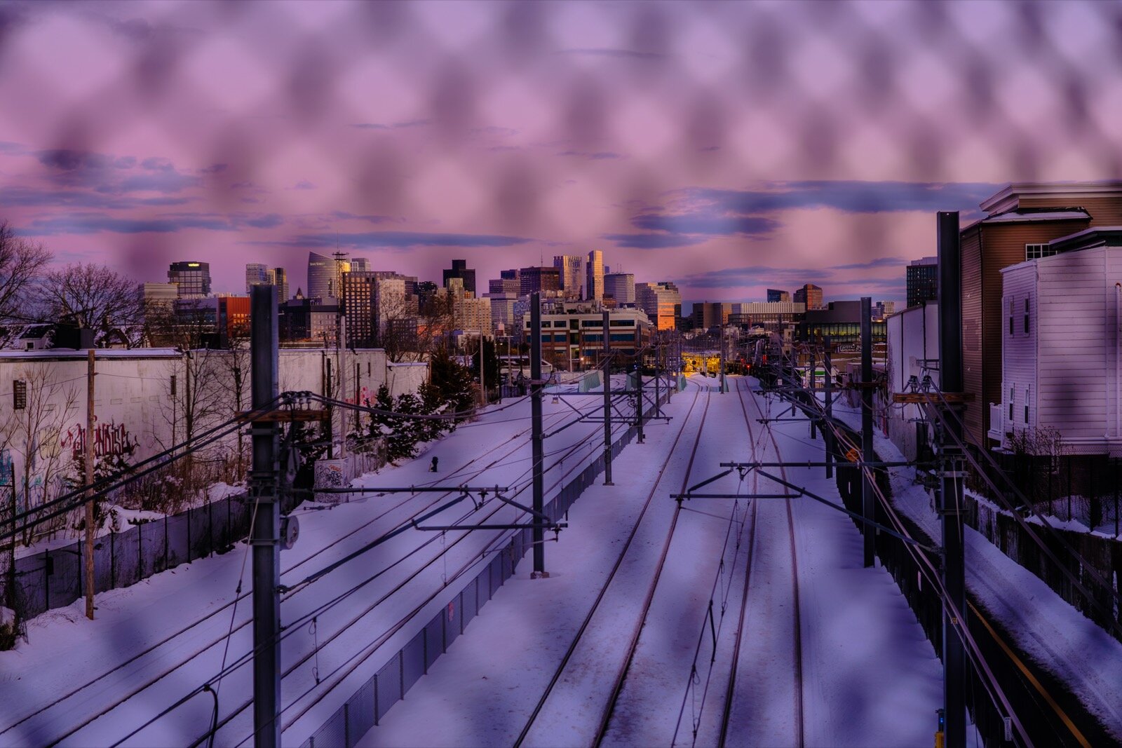 Photo, February 2026